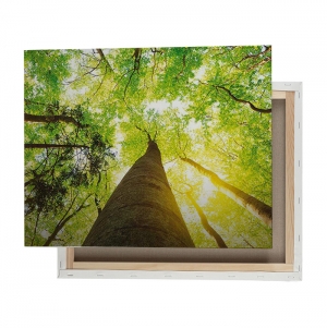LARGE CANVAS 4 COLOR PRINTING WOODEN STRUCTURE 40X60CM